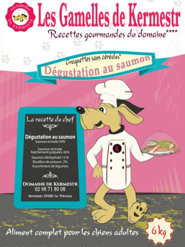 Croquette au saumon sans céréales