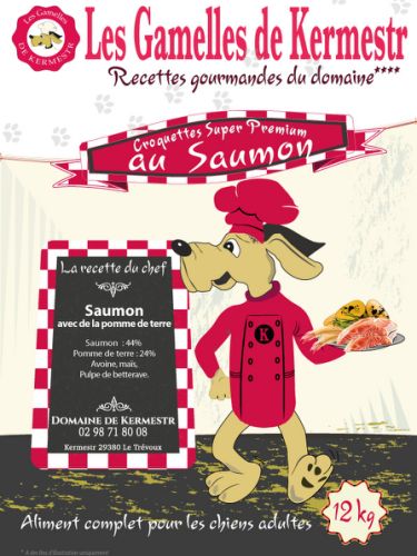 croquettes au saumon super premium