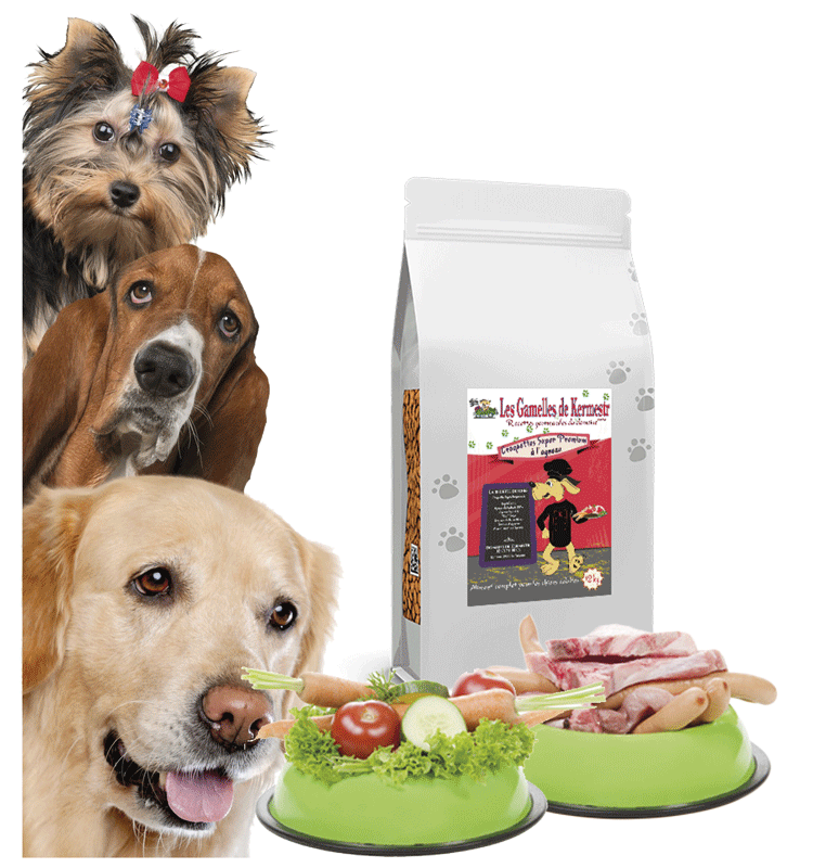 Croquettes chiens toute race